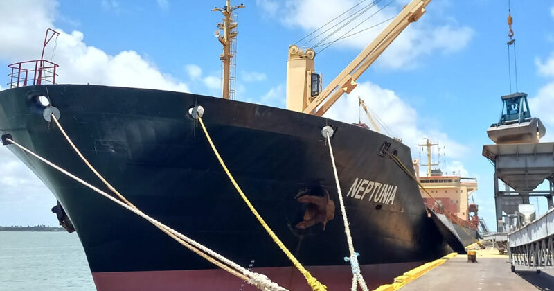 M/V NEPTUNIA