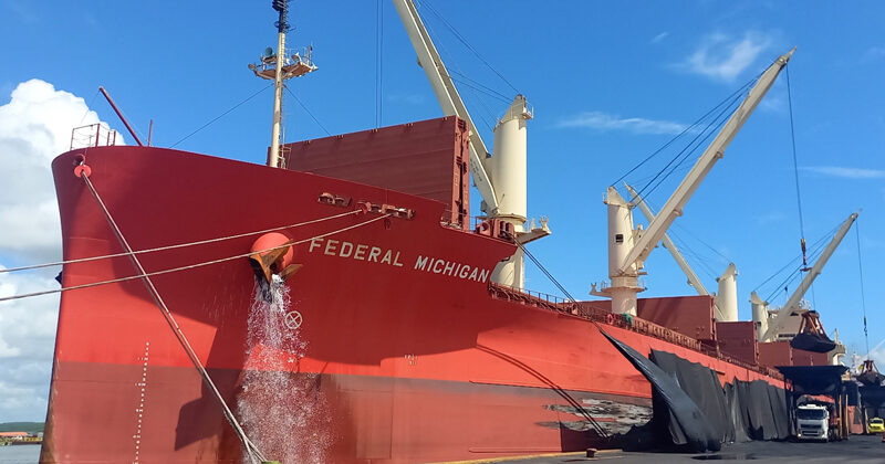 M/V FEDERAL MICHIGAN