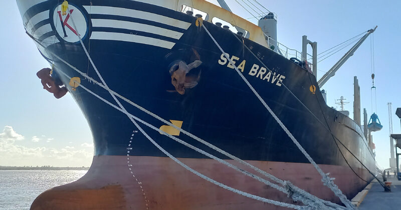 M/V SEA BRAVE